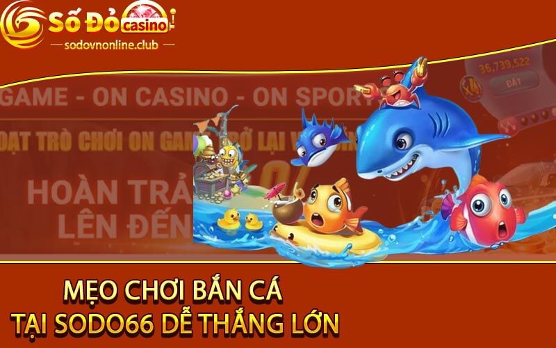 Mẹo chơi bắn cá tại Sodo66 dễ thắng lớn